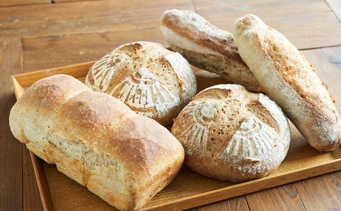 ＜ときはや石窯薪火パン＞無糖、無塩パンセット定期便（3回分）