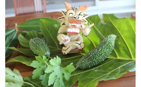 ＜和仁屋しっくいシーサー＞手作りしっくいシーサー体験　2名様