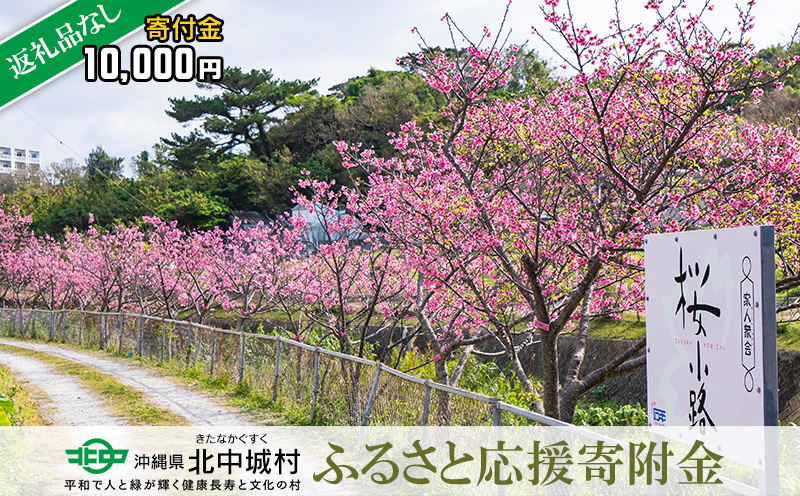 【返礼品なし】沖縄県北中城村ふるさと応援寄附金 10.000円 寄附のみの応援 寄附のみ 返礼品なし 返礼品無し　御礼品なし　御礼品無し 寄附 寄付 応援 支援 沖縄本島 中部地区 世界遺産 中城城跡 伝統芸能 観光 観光保全活動 村長 こども 子供 おきなわ 沖縄 沖縄県 きたなかぐすく 北中城村 一万円