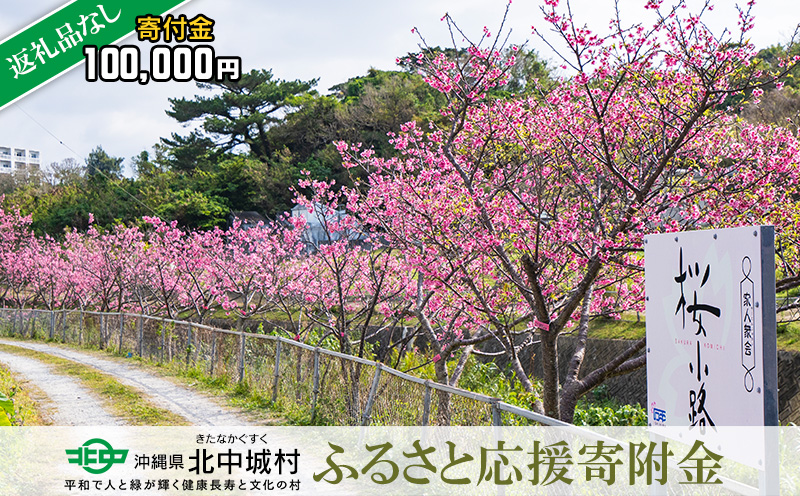 【返礼品なし】沖縄県北中城村ふるさと応援寄附金 100.000円 寄附のみの応援 寄附のみ 返礼品なし 返礼品無し　御礼品なし　御礼品無し 寄附 寄付 応援 支援 沖縄本島 中部地区 世界遺産 中城城跡 伝統芸能 観光 観光保全活動 村長 こども 子供 おきなわ 沖縄 沖縄県 きたなかぐすく 北中城村 十万円