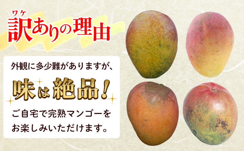 【2026年発送】訳あり品！沖縄県産　完熟マンゴー　約1.5kg×2箱 沖縄県産 先行予約 訳あり 訳アリ フルーツ 果物 くだもの アップルマンゴー アーウィン種 冷蔵 JA 家庭用 お試し 美味しい 沖縄 生産者応援 フードロス 人気 おすすめ お取り寄せ