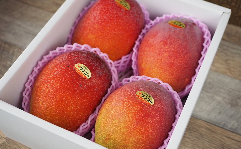 【2026年発送】沖縄県産　完熟マンゴー　化粧箱・秀品　約2kg 産地直送 先行予約 フルーツ 果物 くだもの アップルマンゴー アーウィン種 冷蔵 JA 甘い 美味しい 濃厚 完熟 贈答用 プレゼント 旬 おすすめ お取り寄せ 国産 沖縄県産