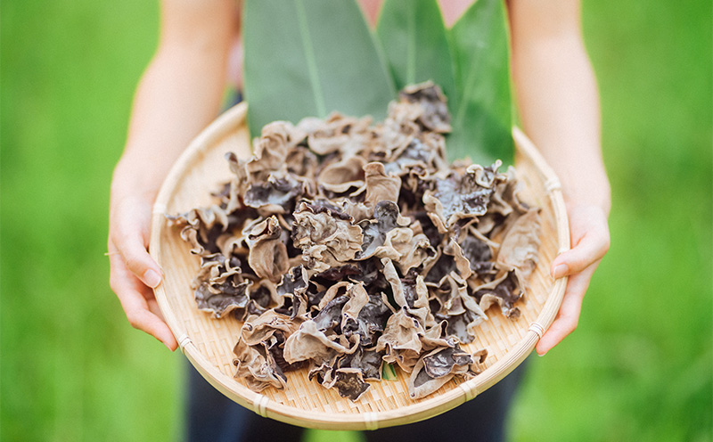 天日きくらげ【40g×6袋】　きくらげ小町 天日 きくらげ 乳酸菌 栽培 きのこ スープ レシピ 料理 家庭料理 食感 きくらげ小町 木耳 キクラゲ お取り寄せ おすすめ 国産 送料無料 おきなわ 沖縄 北中城村