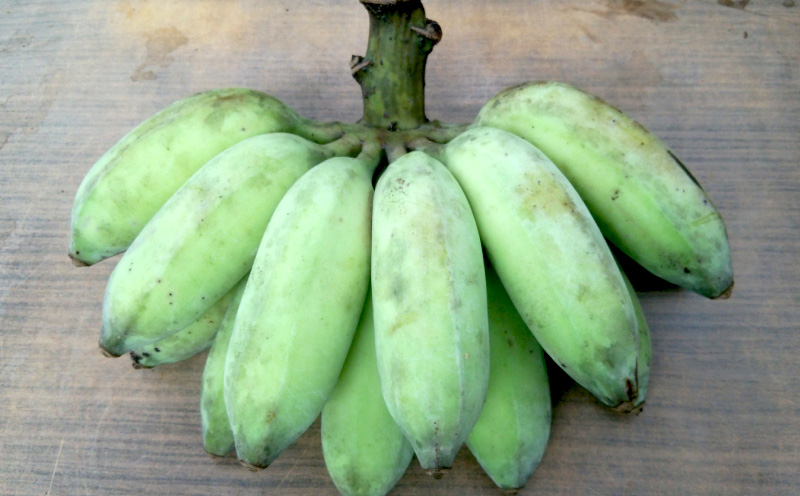 《2025年4月発送》北中城村産　有機アップルバナナ（スイーツバナナ）【3kg前後】 ふるさと納税 沖縄 おきなわ 北中城村 バナナ ばなな 南国 フルーツ スイーツバナナ ミックスジュース 有機栽培 自家製 おやつ スムージー 産地直送 甘い 果肉 デザート 送料無料 北中城村