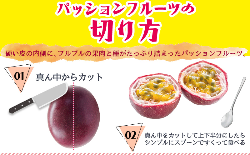 【2026年発送】生産者直送！井上さんのパッションフルーツ1kg お取り寄せ フルーツ 南国 国産 デザート 家庭用 産地直送 農家直送 果物 くだもの ご当地 期間限定 数量限定 リリコイ 先行予約 先行受付 おきなわ 沖縄県産 沖縄 北中城村