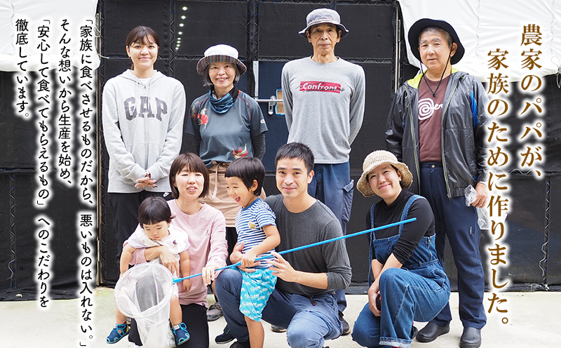 きくらげパウダー【30袋×6箱 6ヶ月分】 きくらげ小町 国産 きのこ きくらげ小町 きくらげ キクラゲ 木耳 粉末 パウダー 乾燥きくらげ 料理用 家庭料理 レシピ 乳酸菌 自然素材 お取り寄せ 個梱包 送料無料 おきなわ 沖縄 北中城村