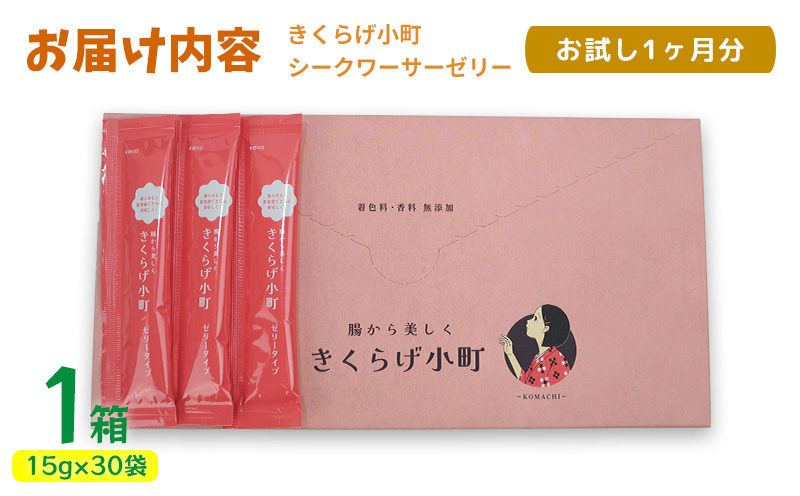 【きくらげ小町】シークワーサーゼリー　お試し1ヶ月分　1箱(15g×30袋) きくらげ シークヮーサー シークワーサー ゼリー 乳酸菌 栽培 きのこ 個包装 プレゼント ギフト 贈り物 おすすめ 人気 お取り寄せ 沖縄県産 国産 送料無料 おきなわ 沖縄 北中城村