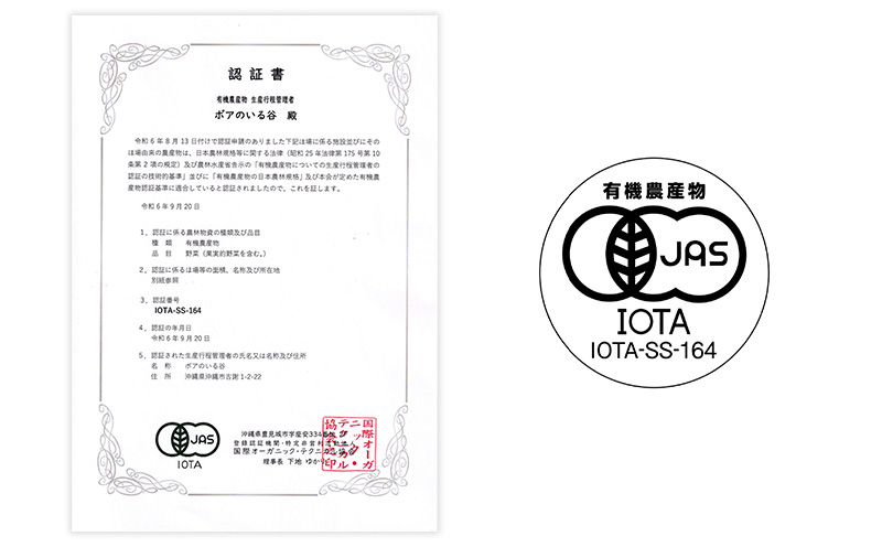 《2025年7月発送》北中城村産　有機アップルバナナ（スイーツバナナ）【3kg前後】 ふるさと納税 沖縄 おきなわ 北中城村 バナナ ばなな 南国 フルーツ スイーツバナナ ミックスジュース 有機栽培 自家製 おやつ スムージー 産地直送 甘い 果肉 デザート 送料無料 北中城村