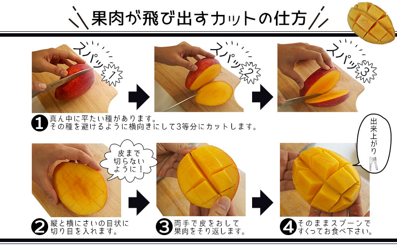 【2026年発送】訳あり 完熟マンゴー 約1.5kg 沖縄県産 先行予約 訳あり 訳アリ フルーツ 果物 くだもの アップルマンゴー アーウィン種 冷蔵 JA 家庭用 お試し 美味しい 沖縄 生産者応援 フードロス 人気 おすすめ お取り寄せ