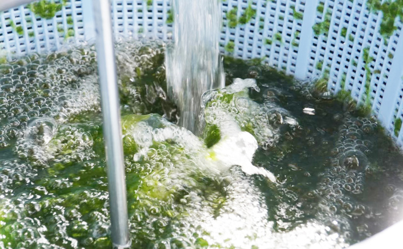 もずくとアーサぞうすい　6個入り×2箱セット【アーサの安里】 あーさ もずく 雑炊 最優秀賞 受賞 簡単 先行予約 夜食 保存食 非常食 まとめ買い セット 海藻 ヘルシー 簡単 手軽 ふるさと納税 送料無料 北中城村 沖縄県