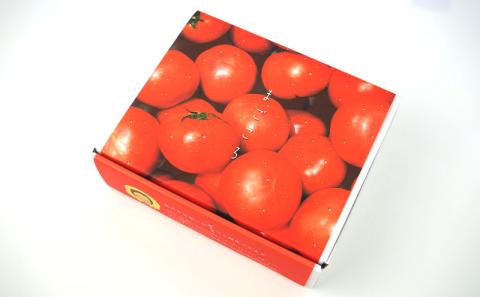 【きたなかそう】トマト麺&チリソースセット