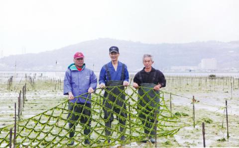 アーサお茶漬け 梅味 沖縄県 北中城村産 4.5g 4袋 5セット あおさのり あーさ ひとえぐさ スープ 海藻 栄養 健康 ビタミン ミネラル 食物繊維 緑黄色野菜 お吸い物 沖縄そば 天ぷら だし巻き卵 オムレツ 長寿 抗酸化作用 佐敷中城漁業協同組合