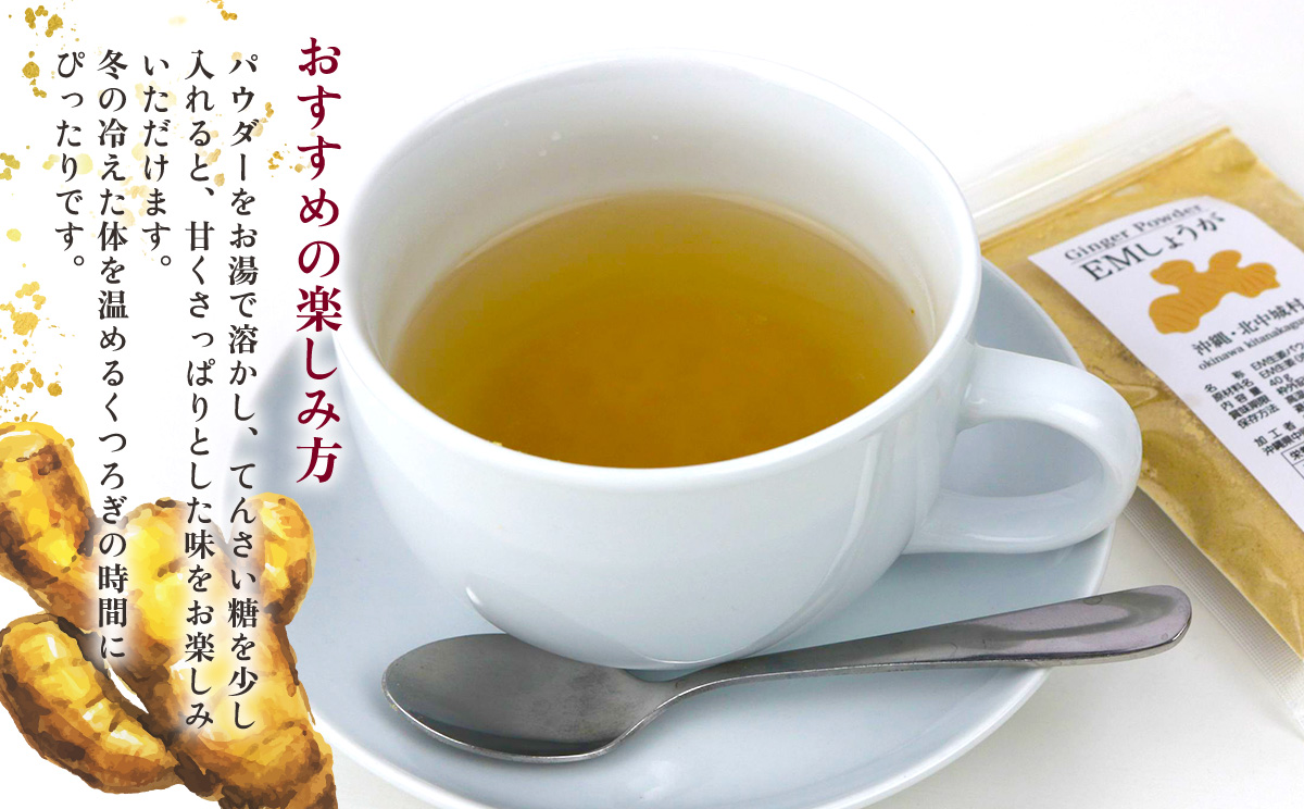 【きたなか荘】しょうがパウダー 40g×4袋 しょうが パウダー ジンジャー しょうが湯 生姜 粉末 調味料 弁当 家庭料理 温かい飲み物 簡単 料理 手軽 お取り寄せ 調味料 安心 安全 おきなわ 沖縄 北中城村