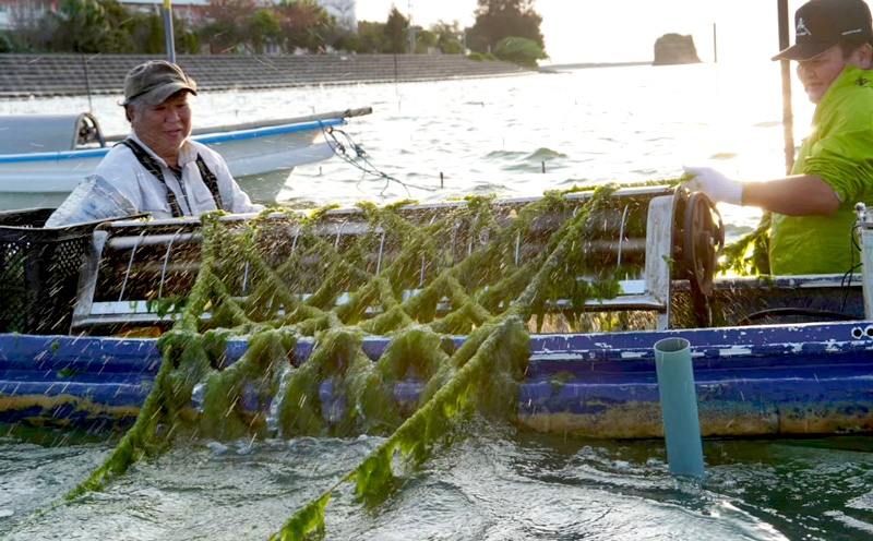 もずくとアーサぞうすい　6個入り×2箱セット【アーサの安里】 あーさ もずく 雑炊 最優秀賞 受賞 簡単 先行予約 夜食 保存食 非常食 まとめ買い セット 海藻 ヘルシー 簡単 手軽 ふるさと納税 送料無料 北中城村 沖縄県