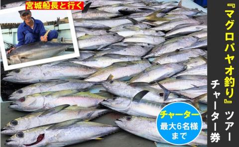 宮城船長と行く【マグロ釣りパヤオツアー】チャーター券（大人６名迄）