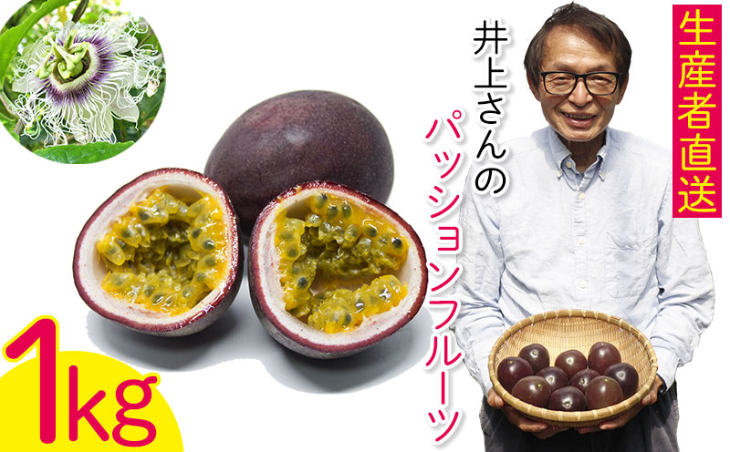 【2026年発送】生産者直送！井上さんのパッションフルーツ1kg お取り寄せ フルーツ 南国 国産 デザート 家庭用 産地直送 農家直送 果物 くだもの ご当地 期間限定 数量限定 リリコイ 先行予約 先行受付 おきなわ 沖縄県産 沖縄 北中城村