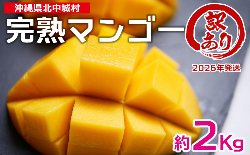 【2026年発送】訳あり品！沖縄県産　完熟マンゴー　約2kg 沖縄県産 先行予約 訳あり 訳アリ フルーツ 果物 くだもの アップルマンゴー アーウィン種 冷蔵 JA 家庭用 お試し 美味しい 沖縄 生産者応援 フードロス 人気 おすすめ お取り寄せ