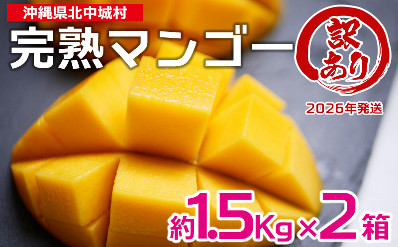 【2026年発送】訳あり品！沖縄県産　完熟マンゴー　約1.5kg×2箱 沖縄県産 先行予約 訳あり 訳アリ フルーツ 果物 くだもの アップルマンゴー アーウィン種 冷蔵 JA 家庭用 お試し 美味しい 沖縄 生産者応援 フードロス 人気 おすすめ お取り寄せ