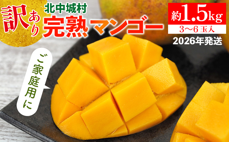 【2026年発送】訳あり 完熟マンゴー 約1.5kg 沖縄県産 先行予約 訳あり 訳アリ フルーツ 果物 くだもの アップルマンゴー アーウィン種 冷蔵 JA 家庭用 お試し 美味しい 沖縄 生産者応援 フードロス 人気 おすすめ お取り寄せ