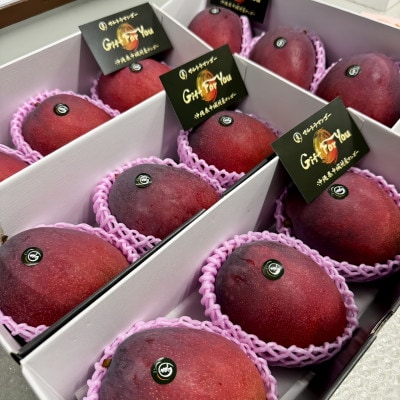 【2026年6月下旬から順次発送】マルトウマンゴーのプレミアム アップルマンゴー1kg【配送不可地域：離島】