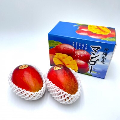 【2026年7月から順次発送・化粧箱】中城果樹園の完熟マンゴー 優品1.0kg(2～3玉)【配送不可地域：離島】