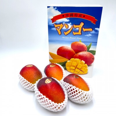 【2026年7月から順次発送・化粧箱】中城果樹園の完熟マンゴー 優品1.5kg(3～5玉)【配送不可地域：離島】