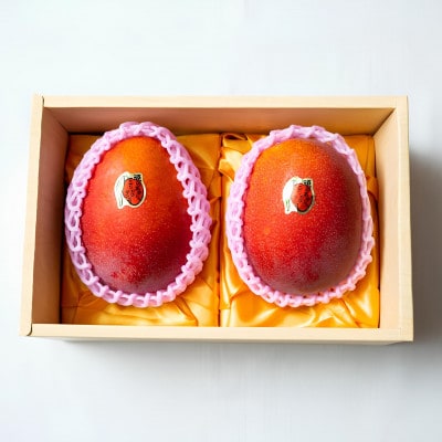 【2026年発送・糖度15度以上保証】頑固おやじのこだわりマンゴー匠 大玉1kg(2玉)【配送不可地域：離島】