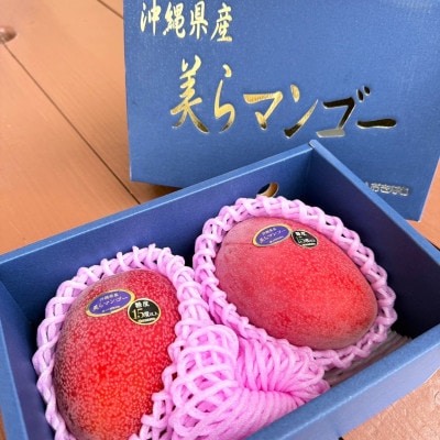 【2026年6月から順次発送・数量限定】糖度15度以上を選別した「美らマンゴー」約900g(2玉)【配送不可地域：離島】