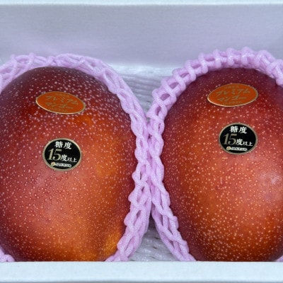 【2026年6月から順次発送・数量限定】糖度15度以上を選別した「プレミアムマンゴー」2玉【配送不可地域：離島】