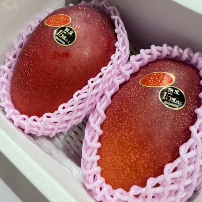 【2026年6月から順次発送・数量限定】糖度15度以上を選別した「プレミアムマンゴー」4玉【配送不可地域：離島】