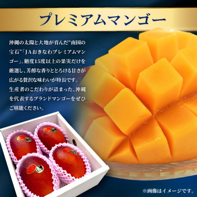 【発送月固定定期便】2026年発送 JAおきなわ厳選のプレミアムフルーツ定期便全2回【配送不可地域：離島】