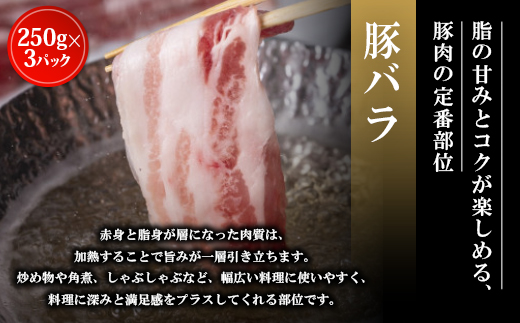 飲める脂の幸福!豚肉バラエティセット 豚バラ・豚ロース・肩ロースの各種3パック 合計2.25kg【配送不可地域：離島】