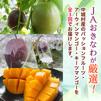 【発送月固定定期便】2026年発送 JAおきなわが厳選する南国フルーツ定期便全3回【配送不可地域：離島】