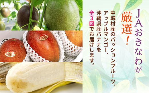 【発送月固定定期便】JAおきなわ厳選フルーツセット(パッションフルーツ・マンゴー・島バナナ)全3回【配送不可地域：離島】