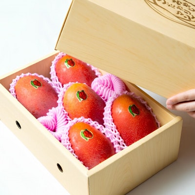 【2026年発送・糖度15度以上保証】頑固おやじのこだわりマンゴー匠 大玉2kg(4～5玉)【配送不可地域：離島】