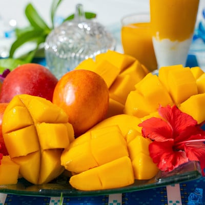 【2026年発送・糖度12度以上保証】頑固おやじのこだわりマンゴー超大玉1玉(700g～850g)【配送不可地域：離島】