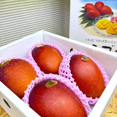 【2026年6月から順次発送・化粧箱】JAおきなわが厳選したアップルマンゴー2kg(3～6玉)【配送不可地域：離島】