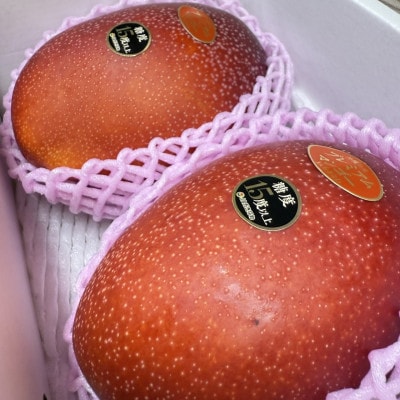 【2026年6月から順次発送・数量限定】糖度15度以上を選別した「プレミアムマンゴー」2玉【配送不可地域：離島】