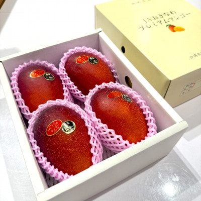 【2026年6月から順次発送・数量限定】糖度15度以上を選別した「プレミアムマンゴー」4玉【配送不可地域：離島】