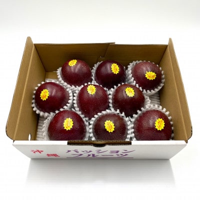 【2026年5月から順次発送・贈答用】JAおきなわが厳選したパッションフルーツ1kg(8～10玉)