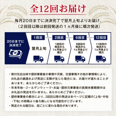 【毎月定期便】オリオン ゼロライフ 1ケース(350ml×24本)オリオンビール全12回