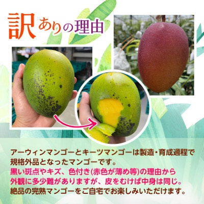 【発送月固定定期便】2026年発送 JAおきなわが厳選する南国フルーツ定期便全3回【配送不可地域：離島】