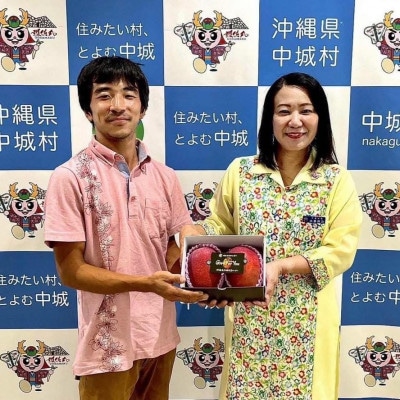 【2026年6月下旬から順次発送】マルトウマンゴーの贈答用アップルマンゴー2kg【配送不可地域：離島】