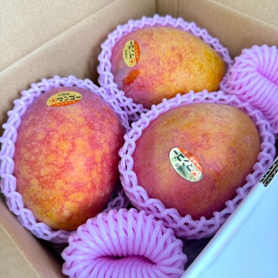 【2026年6月から順次発送・白箱】美ら島マンゴー農園の完熟中城美らマンゴー優品5kg(8～15玉)【配送不可地域：離島】