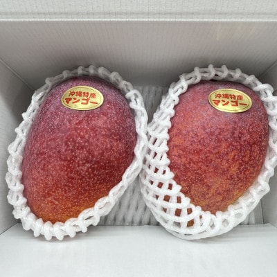 【2026年6月から順次発送・贈答用】美ら島マンゴー農園の完熟中城美らマンゴー秀品1kg(2～3玉)【配送不可地域：離島】