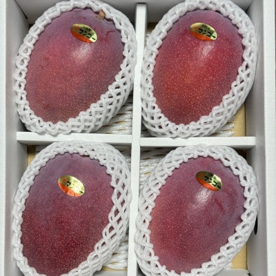 【2026年6月から順次発送・贈答用】美ら島マンゴー農園の完熟中城美らマンゴー秀品2kg(4～5玉)【配送不可地域：離島】