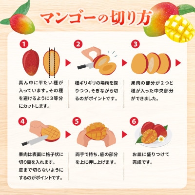 【2026年6月下旬から順次発送・贈答用】儀間農園の完熟アップルマンゴー 秀品1kg(大玉2玉)【配送不可地域：離島】