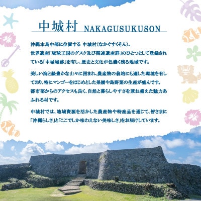 【沖縄ホーメルお試しセット】コンビーフハッシュ(63g×6個)