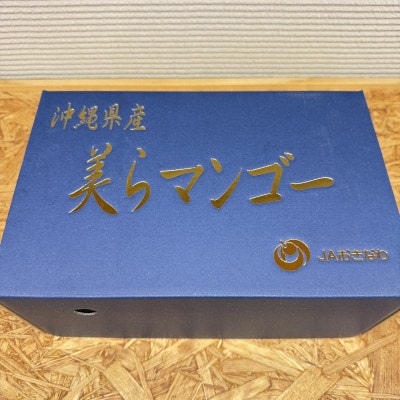 【2026年6月から順次発送・数量限定】糖度15度以上を選別した「美らマンゴー」約900g(2玉)【配送不可地域：離島】