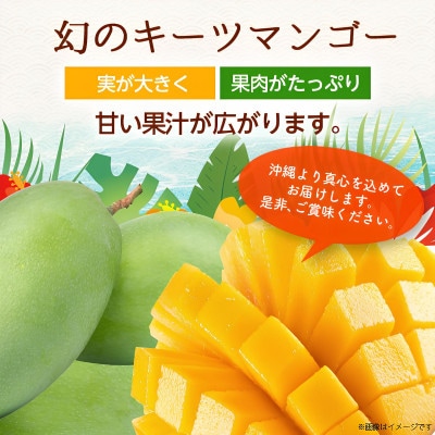 【2026年8月から順次発送・訳あり】JAおきなわ厳選した幻のキーツマンゴー2kg(2～3玉)【配送不可地域：離島】